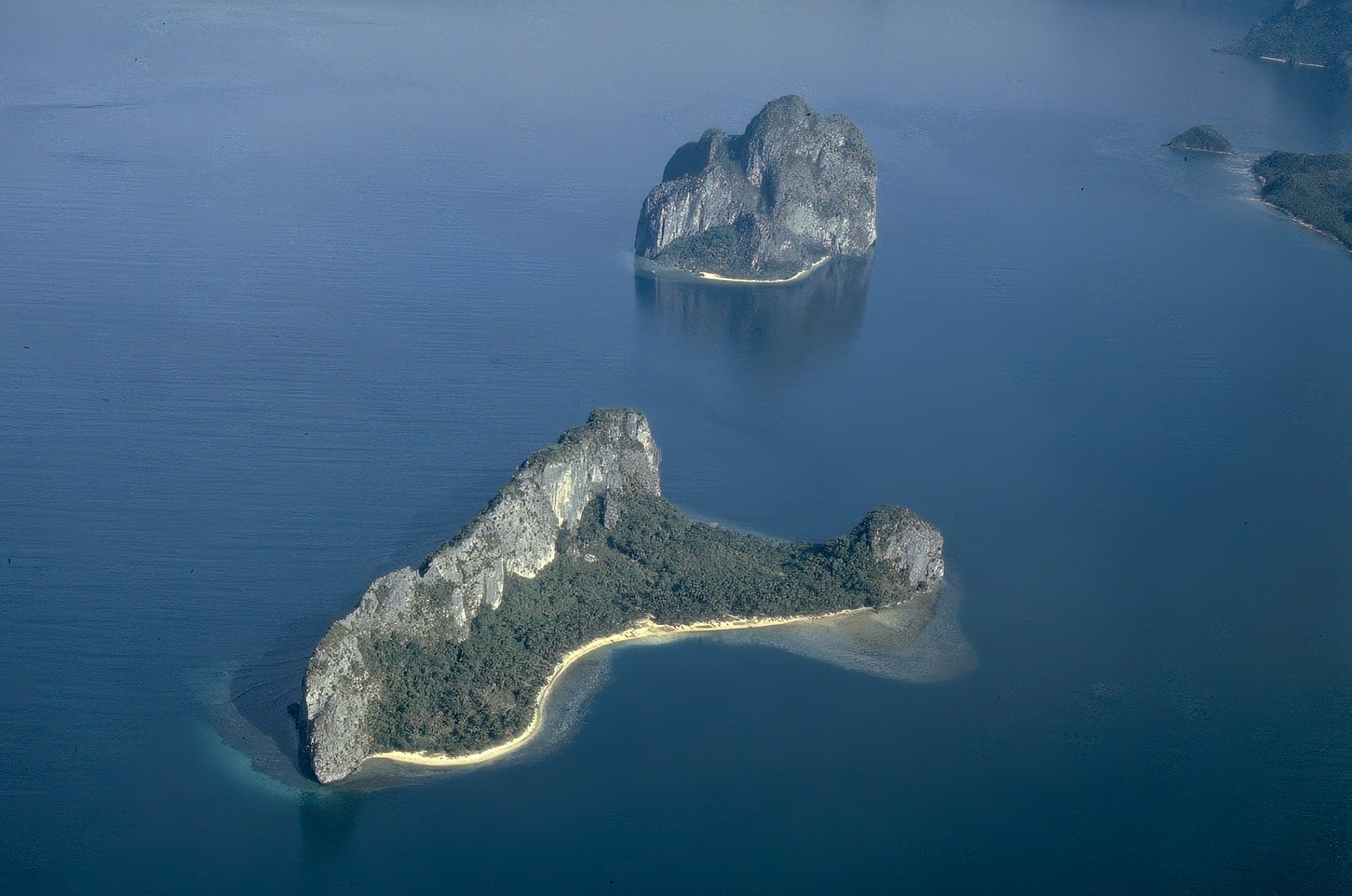 logo Palawan Botanical Expedition