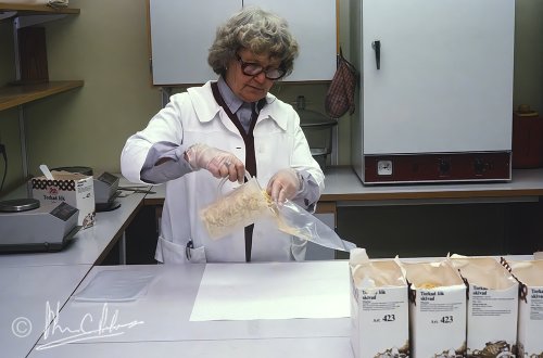 Dried onions to pep up our food!