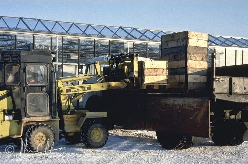 Packed in Sweden, shipping to Palawan