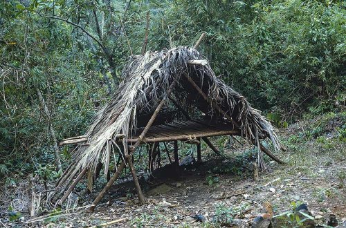 Almaciga resin gatherers shelter