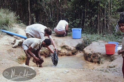 Loggers had polluted the waterways and freshwater had to be piped in