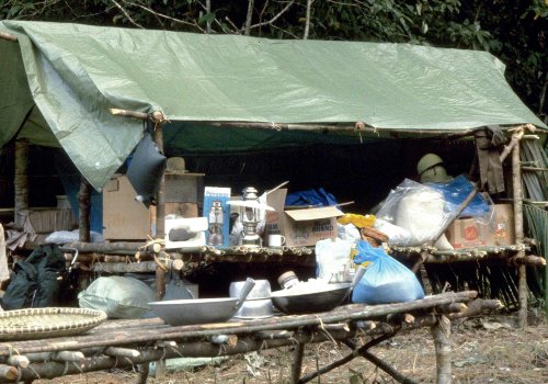 Basecamp, Irawan River Valley