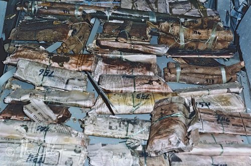 Wood specimens drying