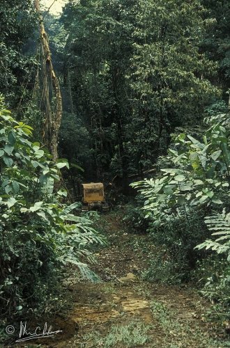 Tracks are opened up