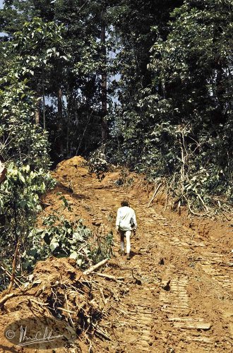 Everything is flattened for a new track