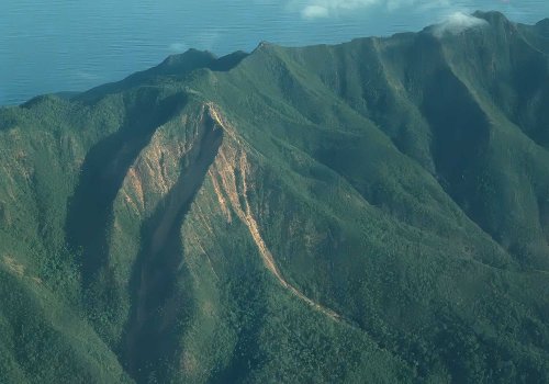 Mt. Bloomfield showing a clear demarcation to the stunted forest on heavy metal rich soils 