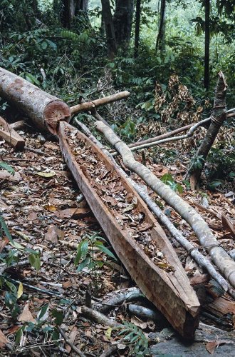 Canoe carved out of a single trunk