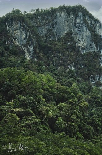 Rocky Slope Forest leading up to the karst cliffs