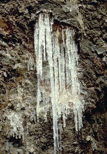 Resin from a knife cut