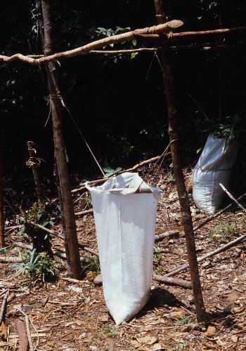 Resin collectors sack