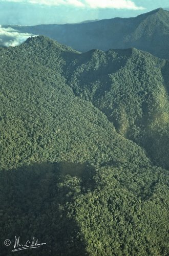 Mt. Bloomfield in the background