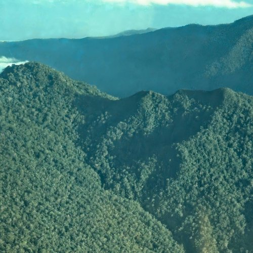 Mt. Bloomfield in the background