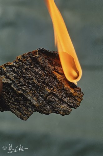 Repitic - burns when wet!