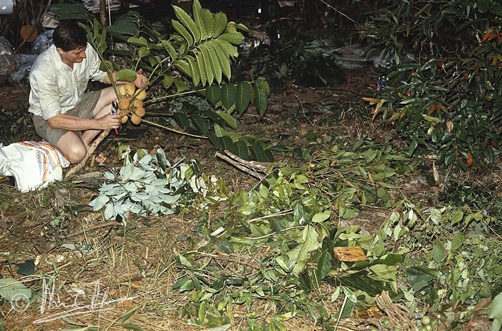 Sorting at base-camp