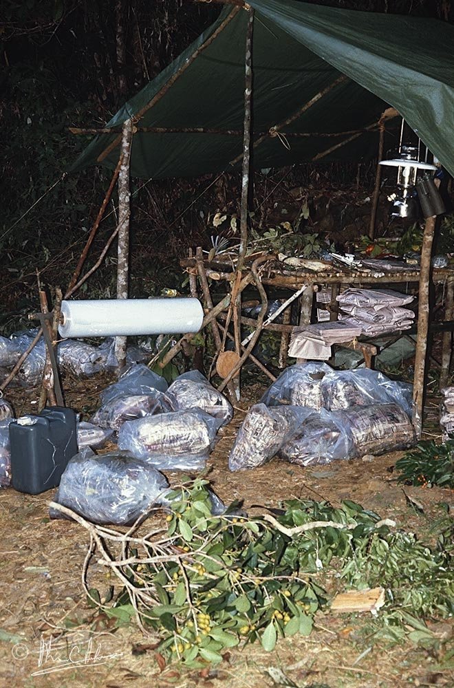Plastic packages ready for the copra sacks
