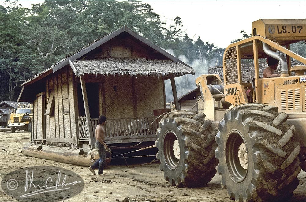 Setting up the logging camp