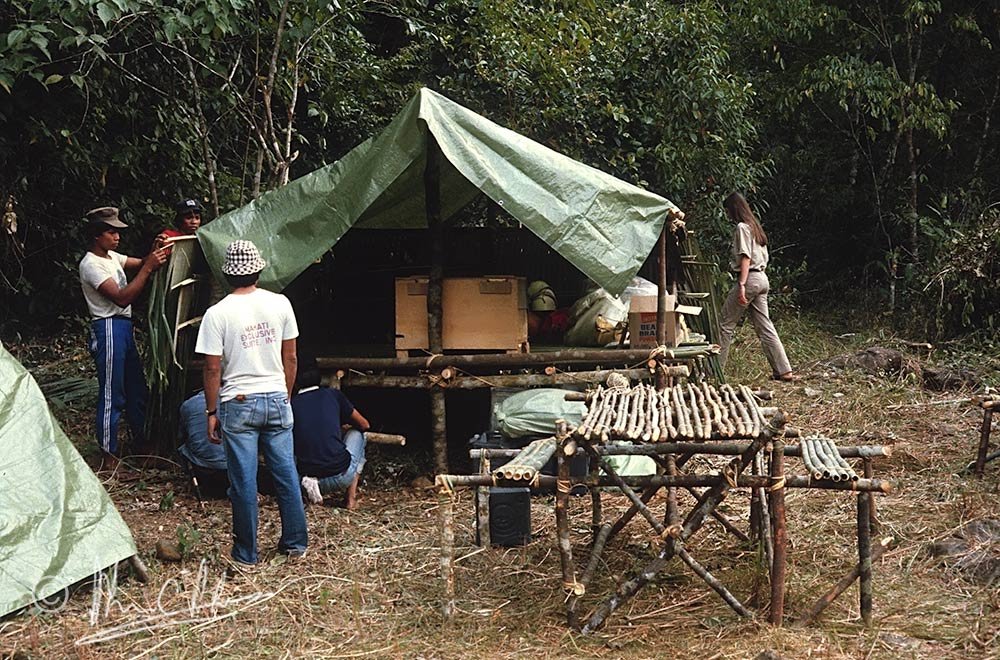 Tarpaulin roof-covering.