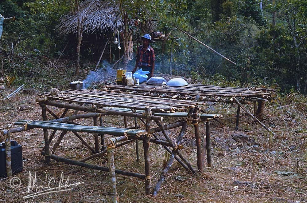 Dinner table and cooking table