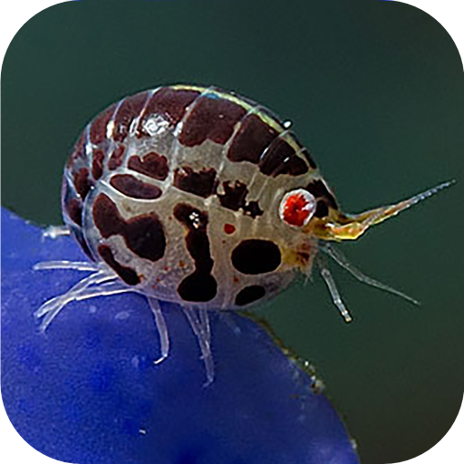 logo Palawan Botanical Expedition